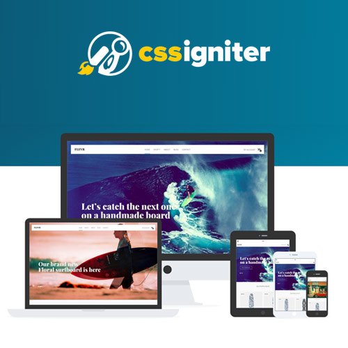 Download CSS Igniter Flevr Woocommerce Pro WordPress Plugin Free ...